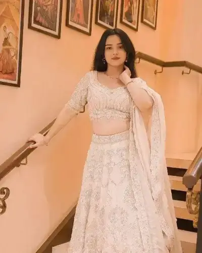 Escort Service In Pappireddipatti